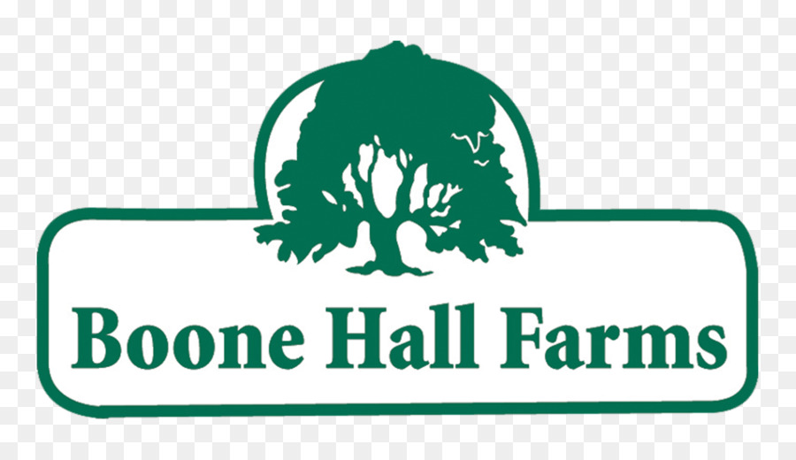 Boone Hall，Logotipo PNG