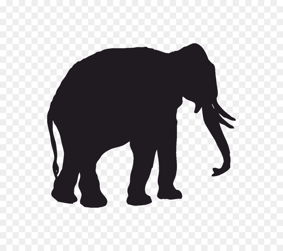 Elefante，Fauna PNG