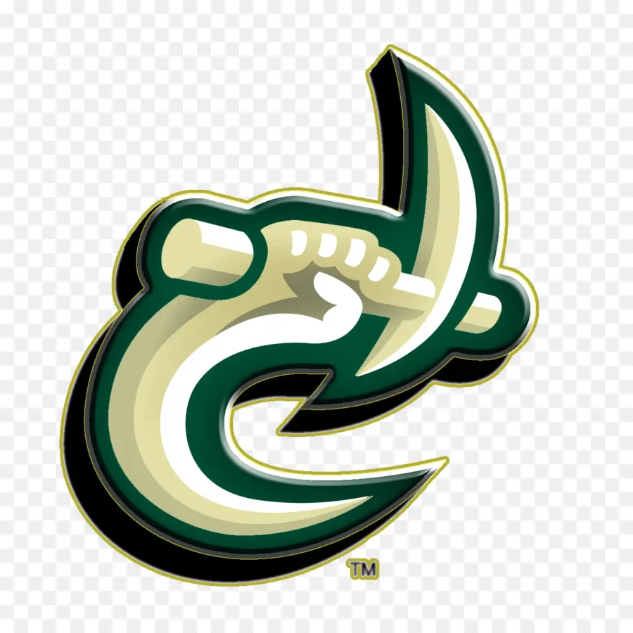 Fútbol De Charlotte 49ers，San Francisco 49ers PNG