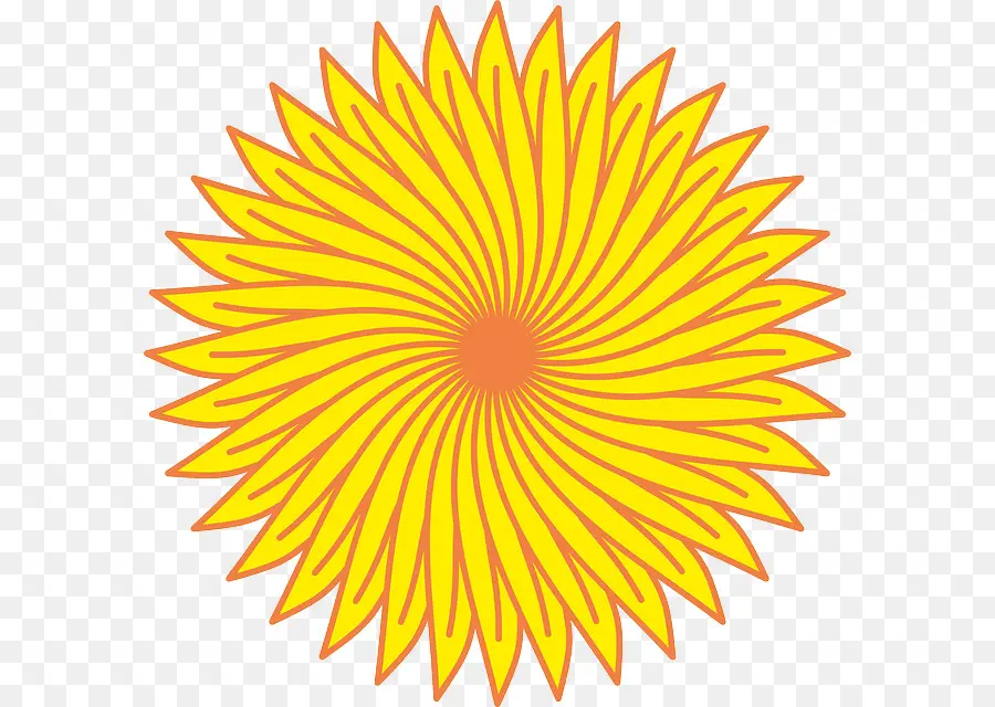 Girasol，Amarillo PNG