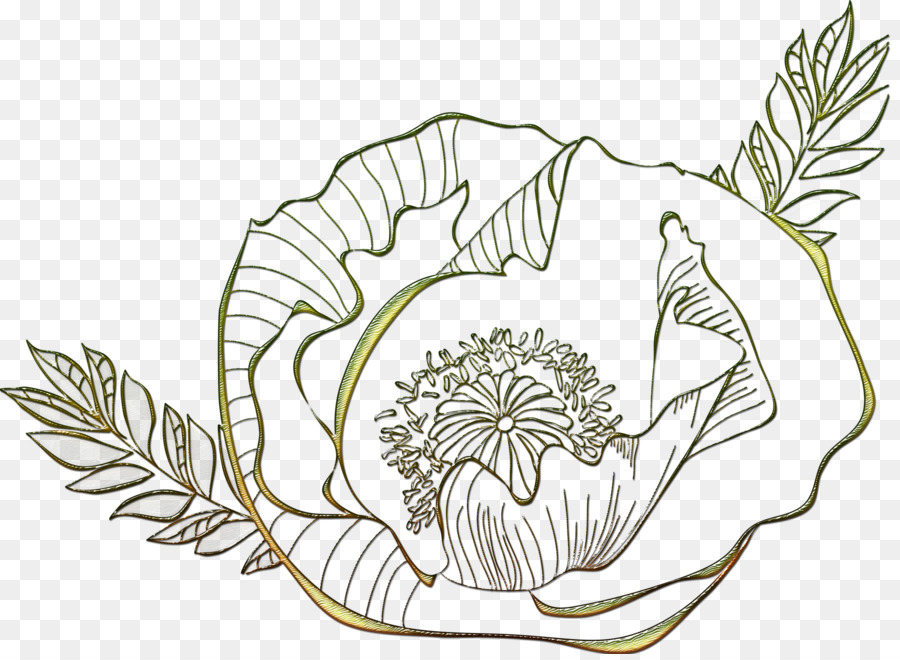 Diseño Floral，Hoja PNG