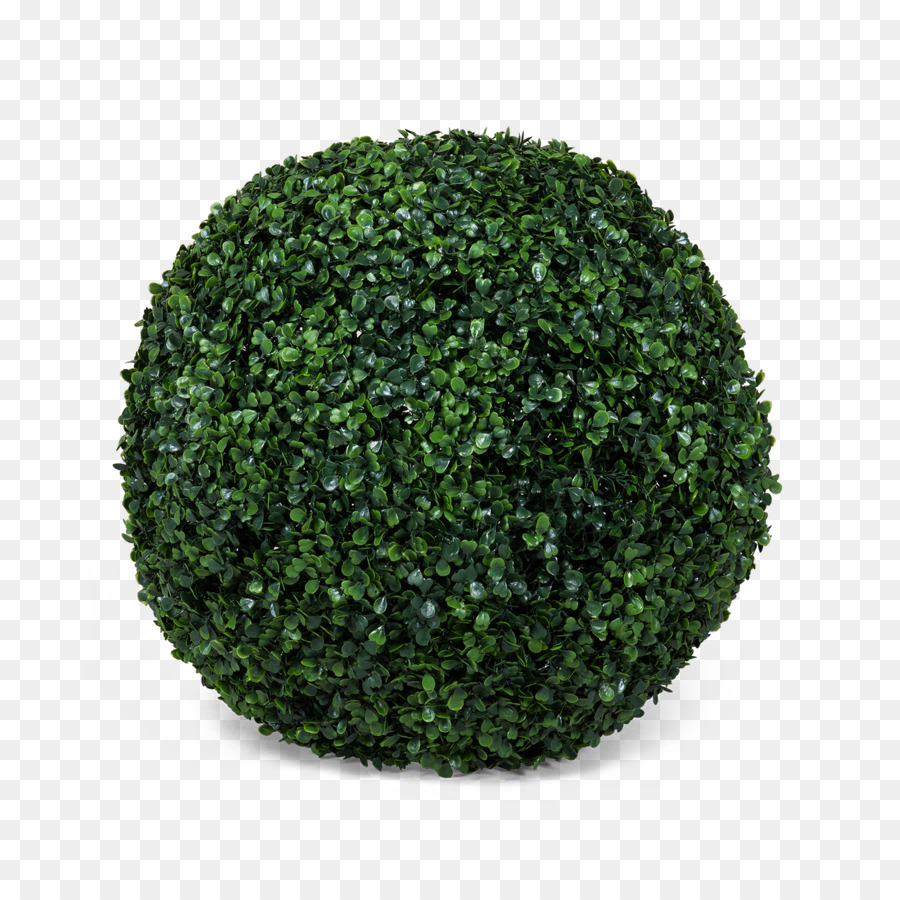 Bola De Topiario，Verde PNG