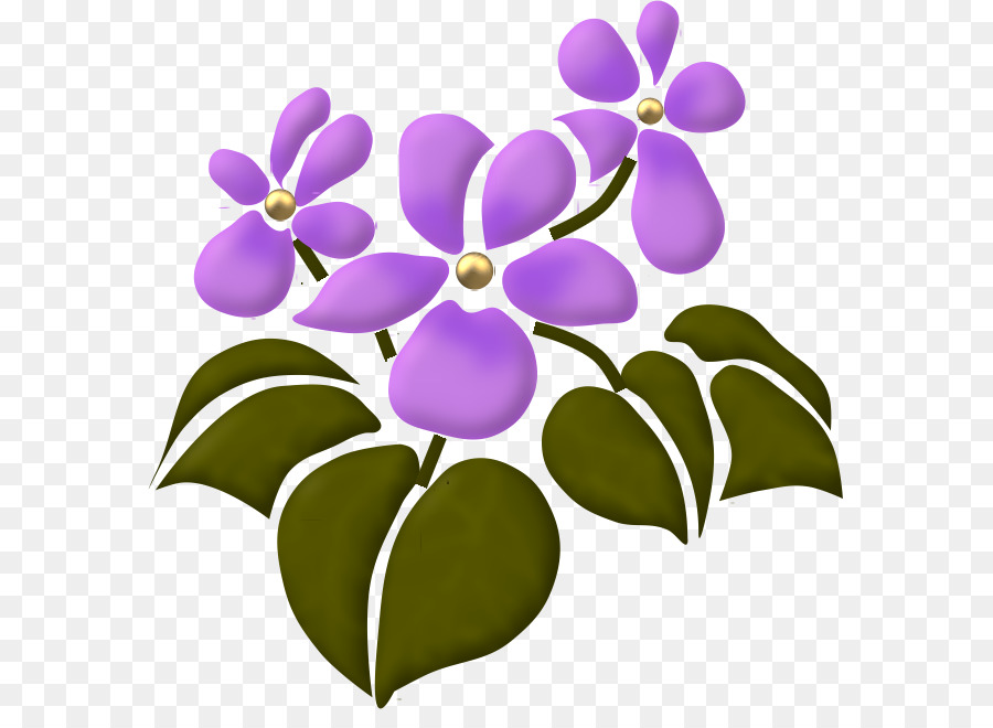 Flor，Cuadro PNG