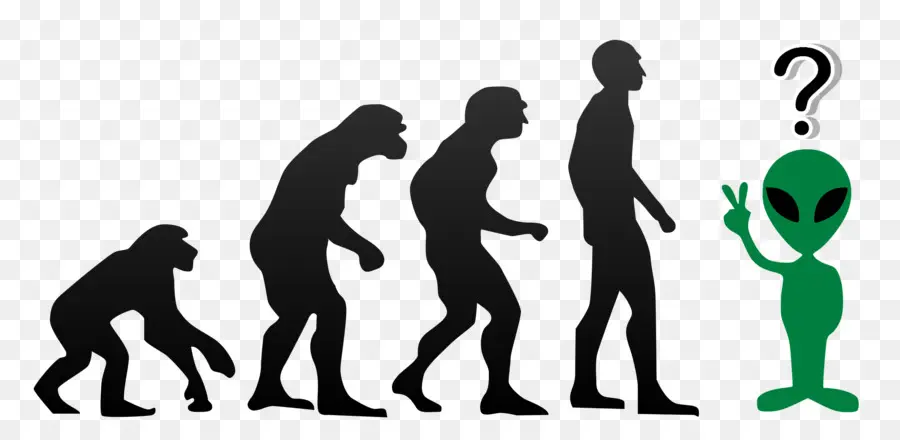 Evolución，Humano PNG