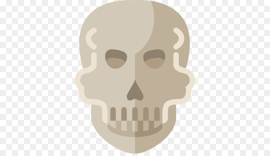 Cráneo，Iconos De Equipo PNG