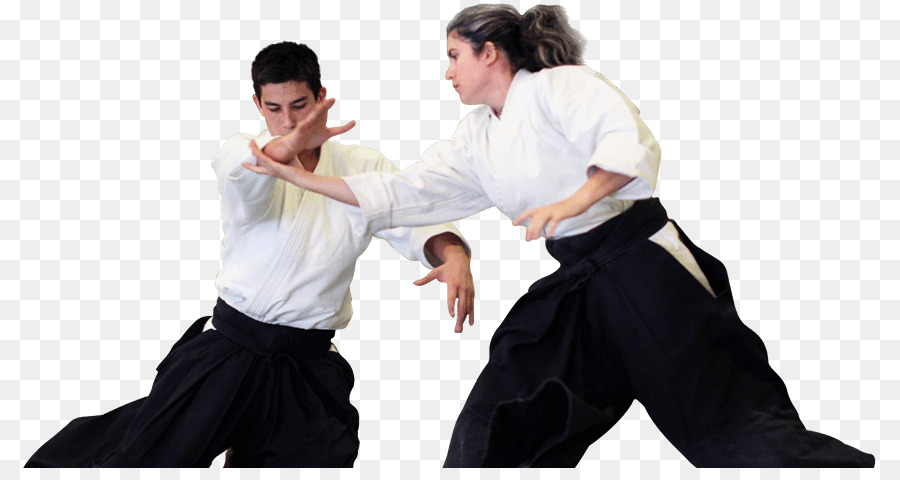 El Aikido，Kenjutsu PNG