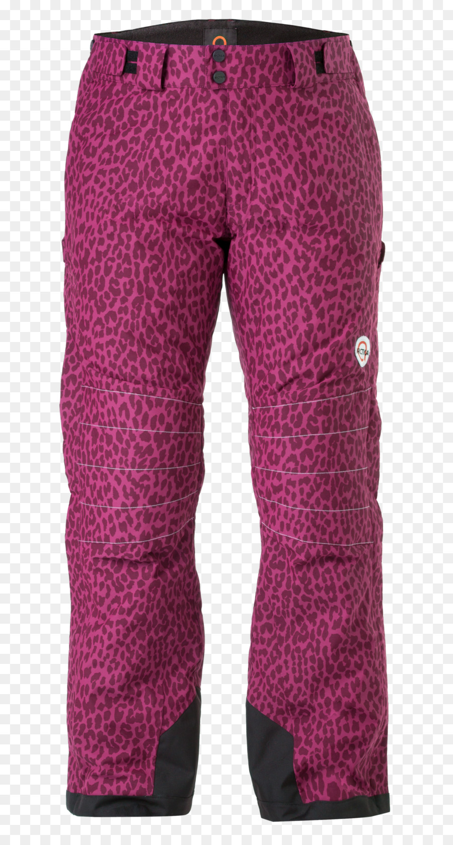 Cheetah，Pantalones PNG