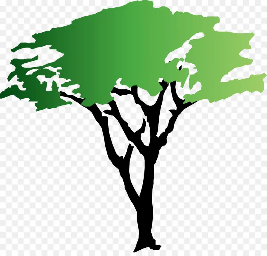 árbol Verde，Árbol PNG