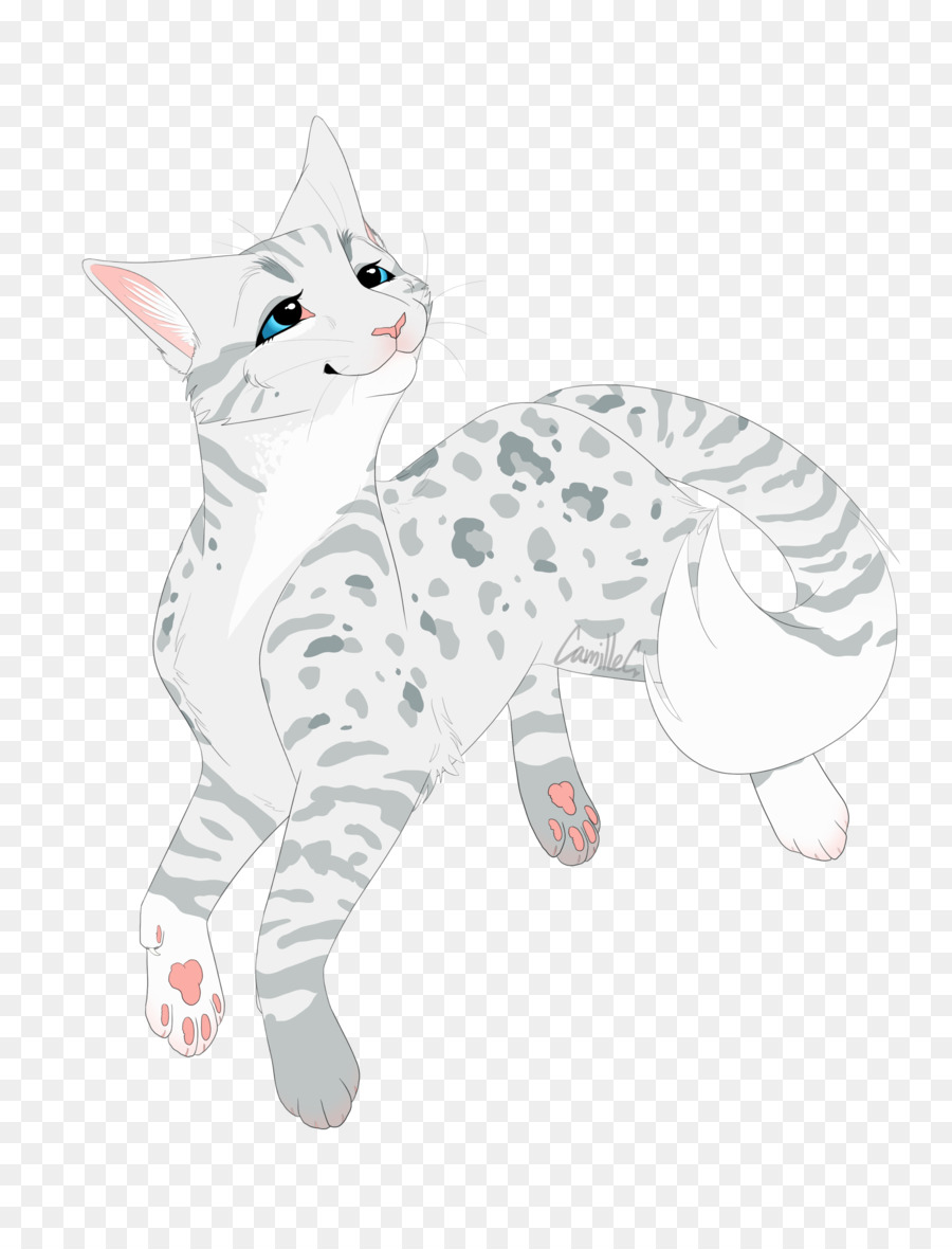 Gato De Dibujos Animados，Gato PNG