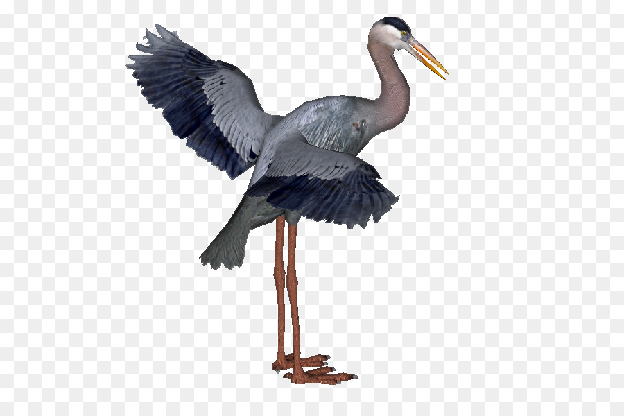 Garza，Gran Garza Azul PNG