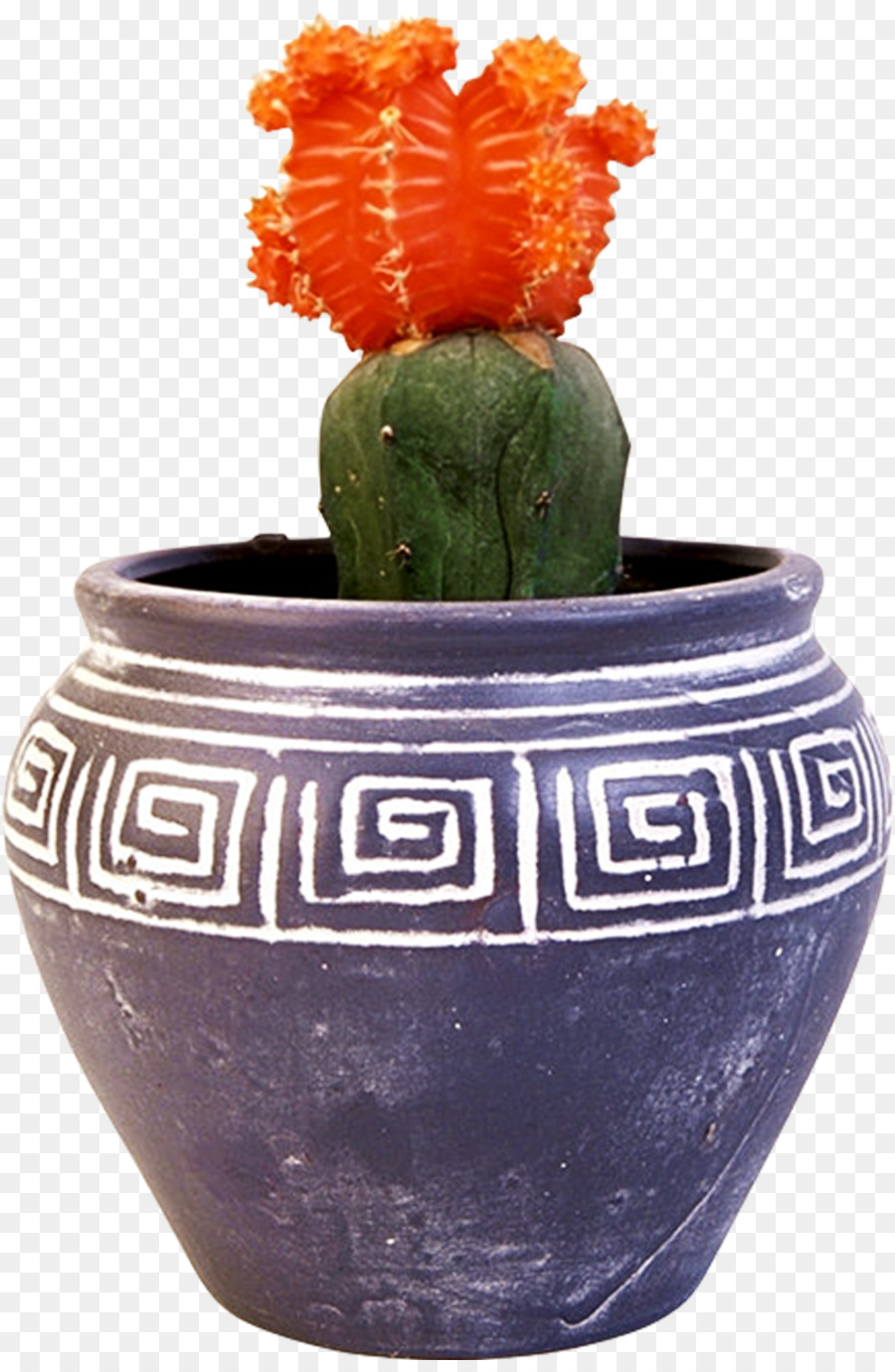 Cactus，Olla PNG