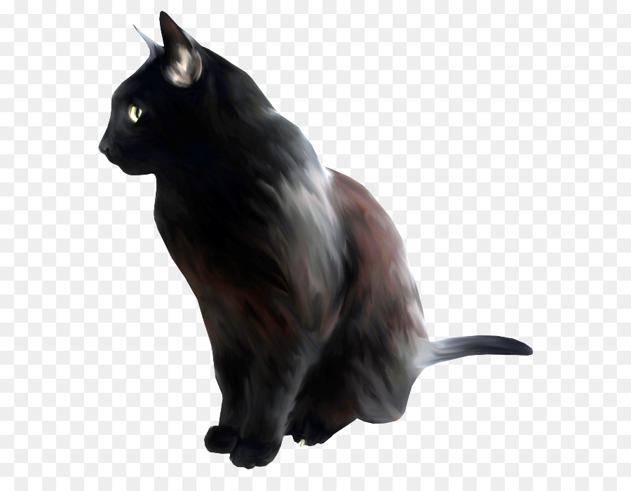 Gato Negro，Mascota PNG