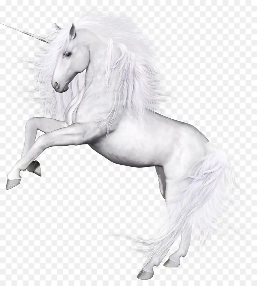 Unicornio，Caballo PNG