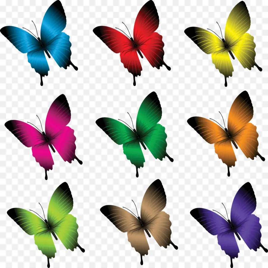 Mariposa，La Fotografía PNG