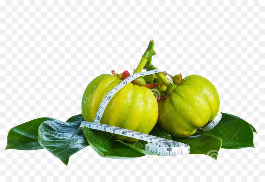 Garcinia Camboya，Pérdida De Peso PNG