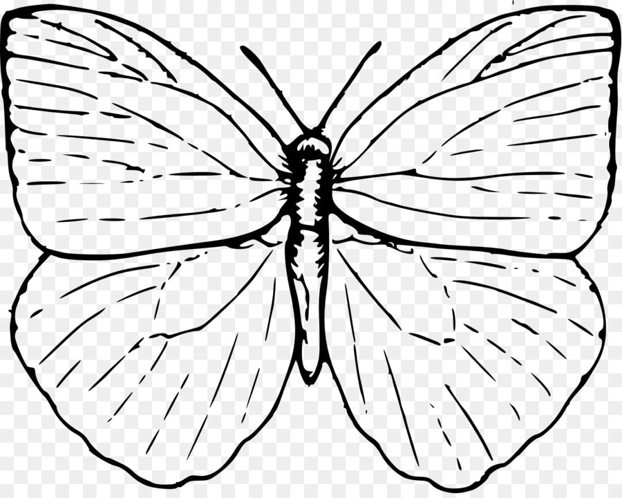 Dibujo De Mariposa，Insecto PNG