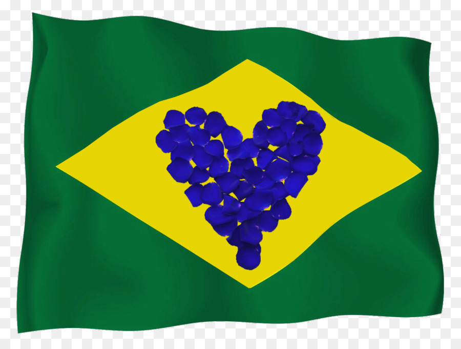 Bandera De Brasil，Brasil PNG