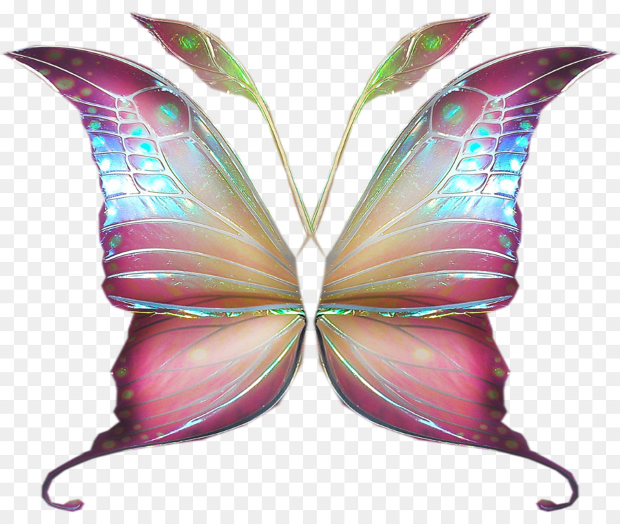 Mariposas，Alas PNG