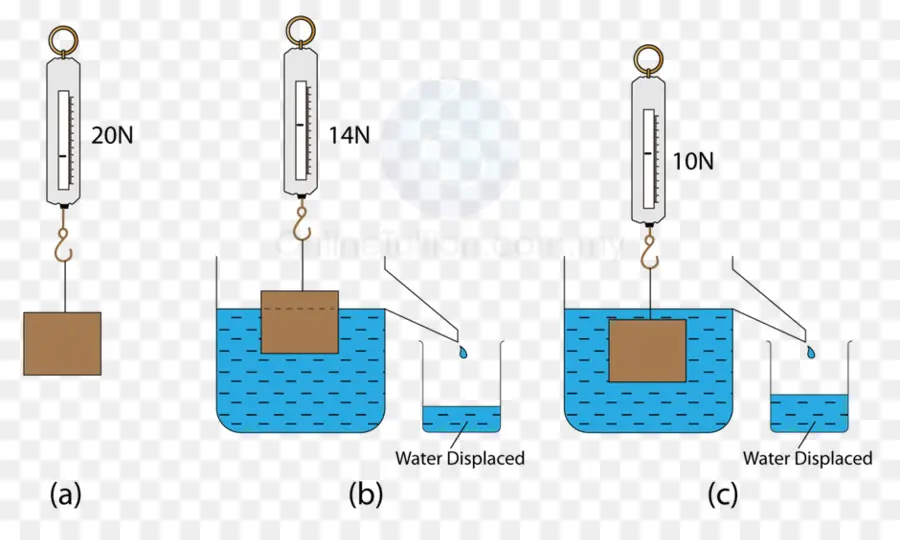 Experimento De Flotabilidad，Agua PNG