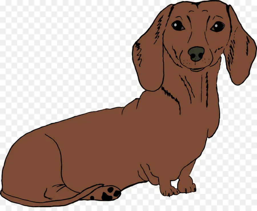 Dachshund，Cachorro PNG