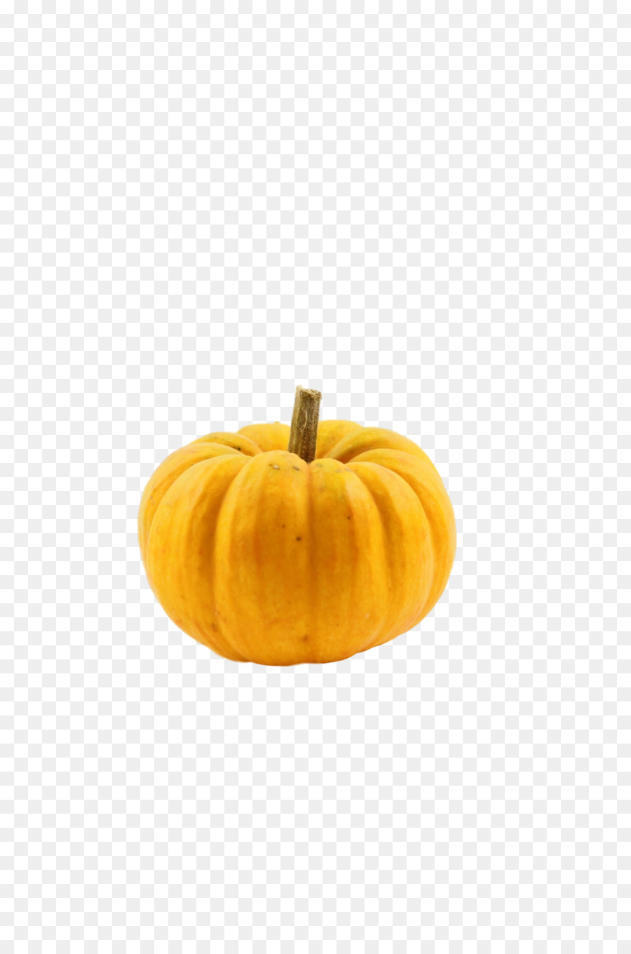 Calabaza，Calabaza De Invierno PNG