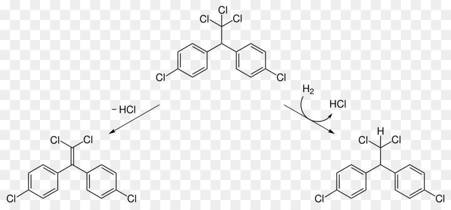 Estructura Química，Molécula PNG