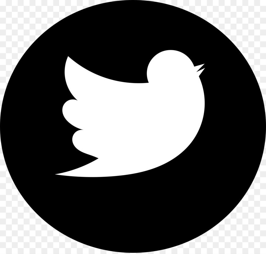 Logotipo De Twitter，Pájaro PNG