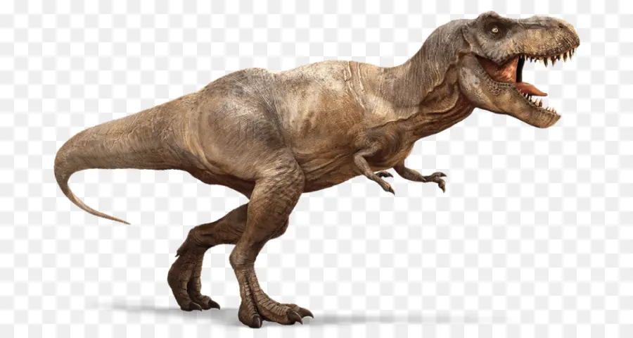 Tyrannosaurus，Spinosaurus PNG