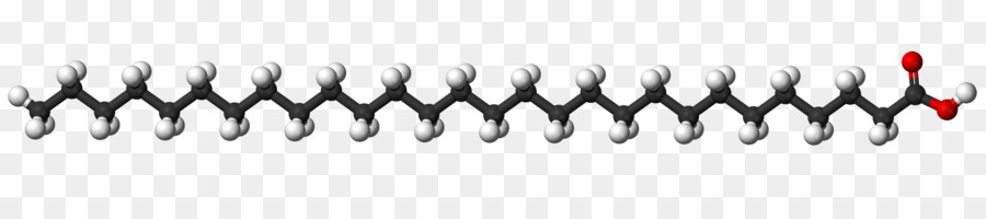 El ácido Esteárico，ácido Elaídico PNG