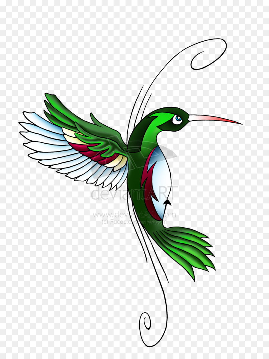 Colibrí，Tatuaje PNG