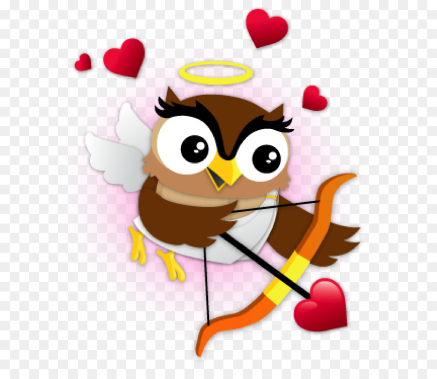 Búho Cupido，Búho PNG