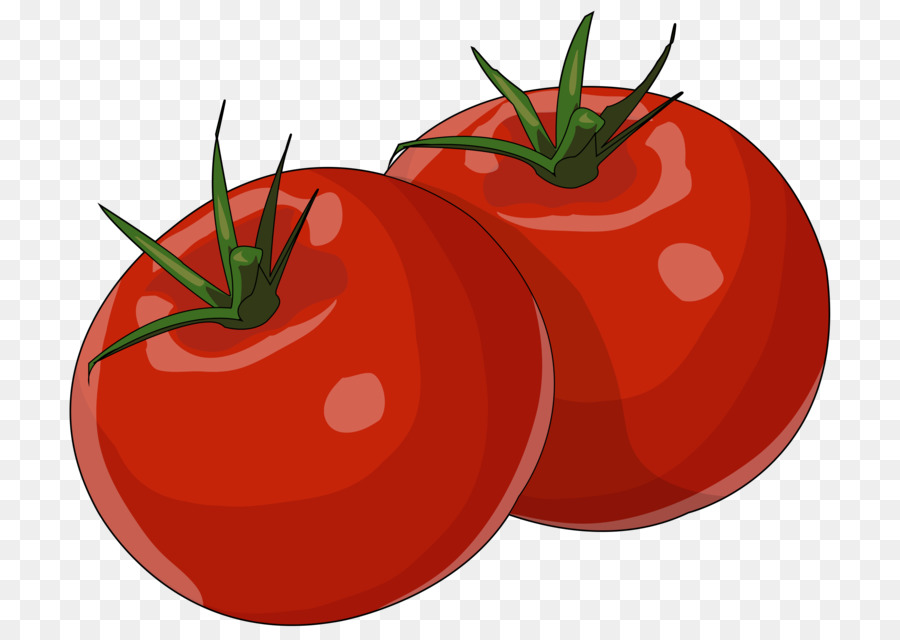 Tomate Ciruela，Bush Tomate PNG