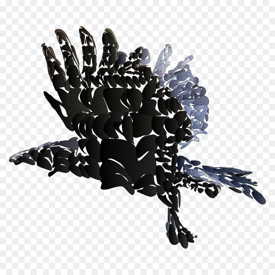 Raven，Común Raven PNG