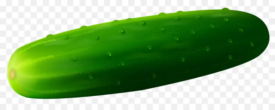 Pepino，Vegetal PNG