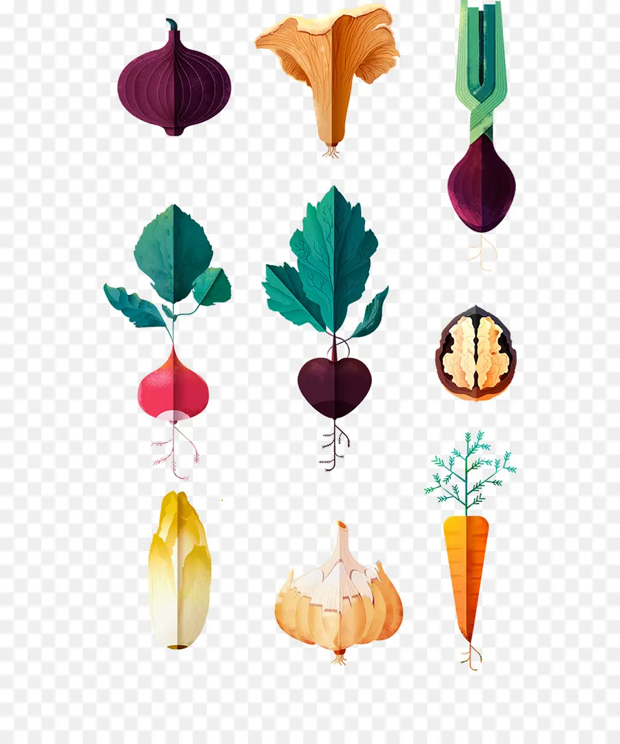 Diseño Gráfico，Vegetal PNG