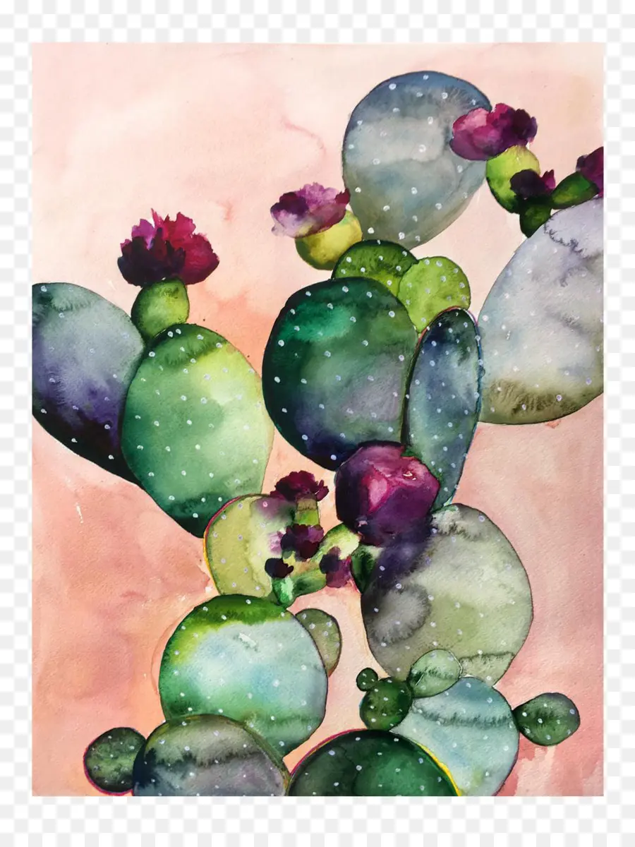 Pintura De Cactus，Acuarela PNG