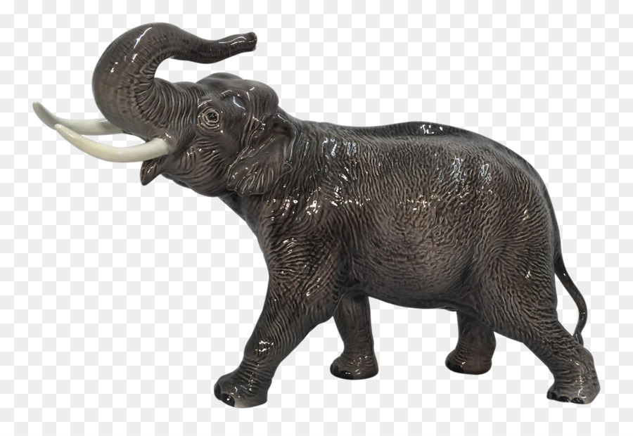 Elefante Indio，Elefante Africano PNG