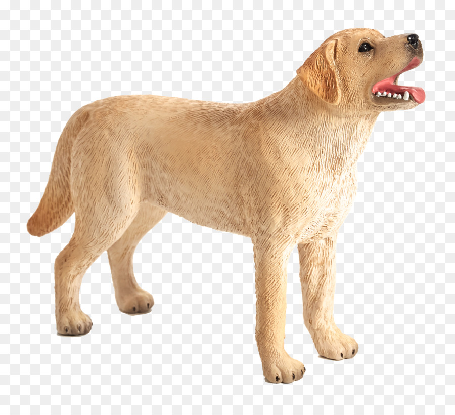 Golden Retriever，Labrador Retriever PNG