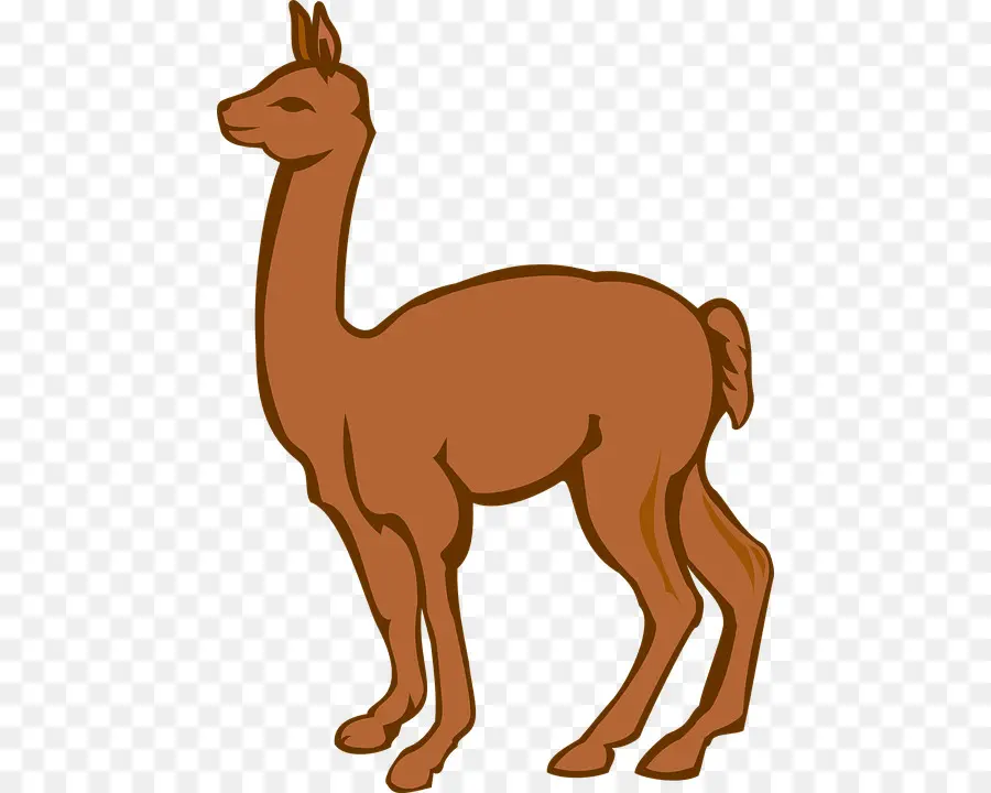 Llama，Alpaca PNG