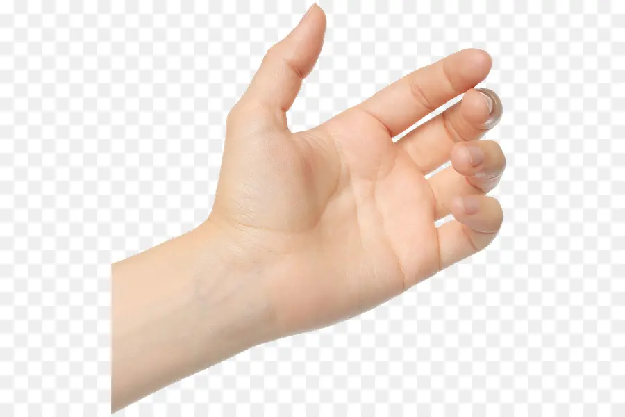 Mano，Nervio De Cúbito PNG