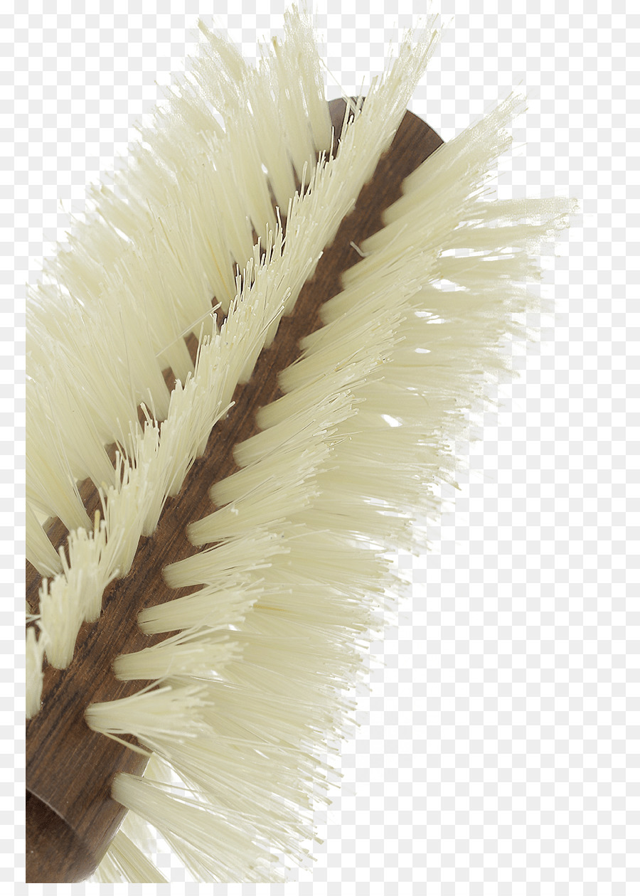 Cepillo，Cepillo Para El Pelo PNG