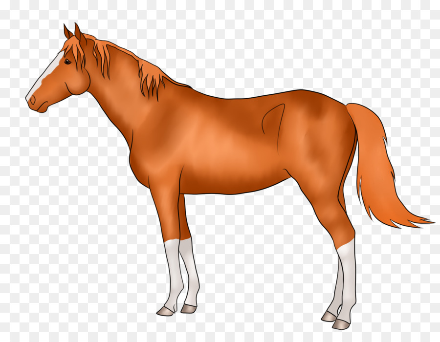 Caballo Corriendo，Animal PNG