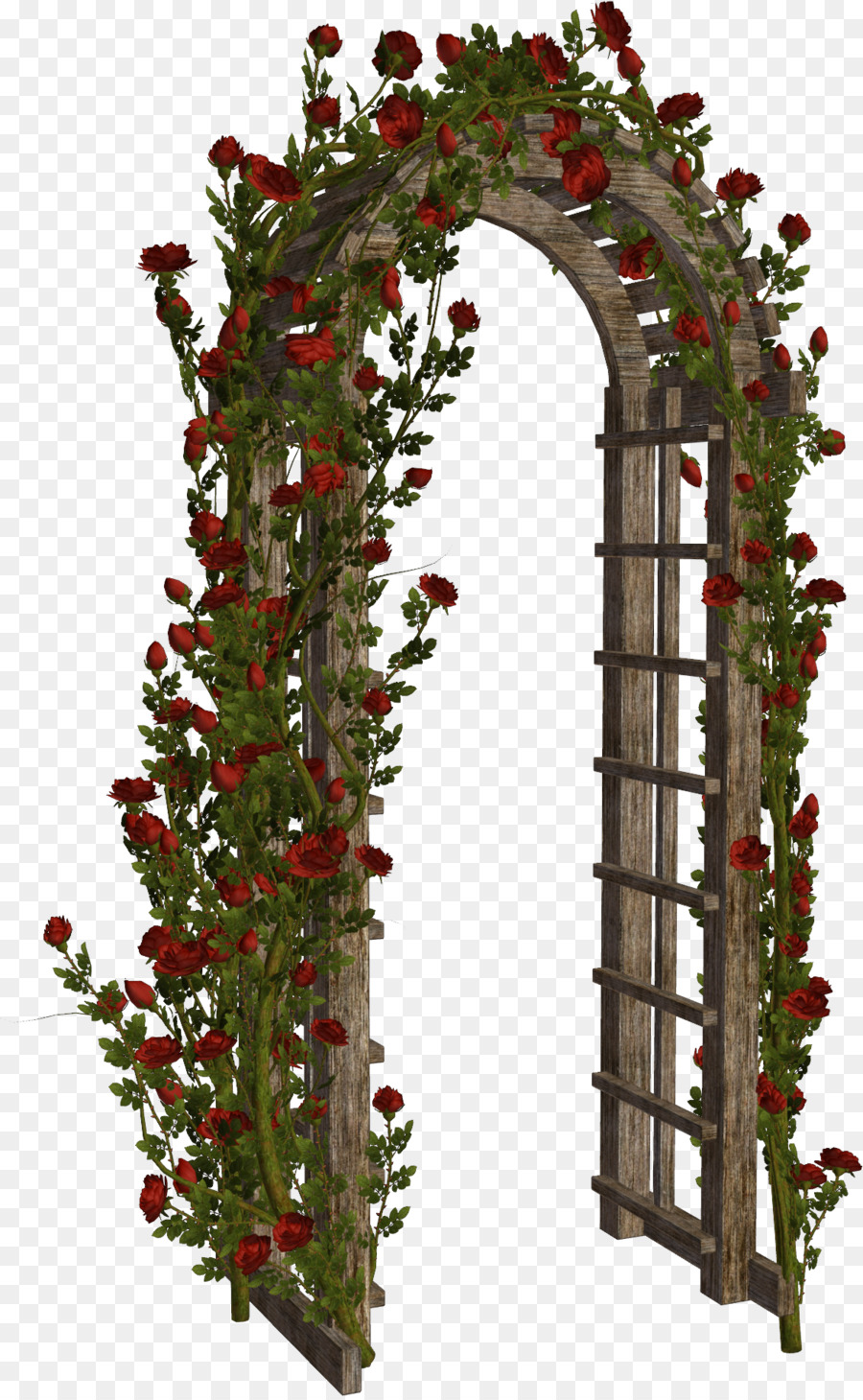 Arco De Rosas，Flores PNG