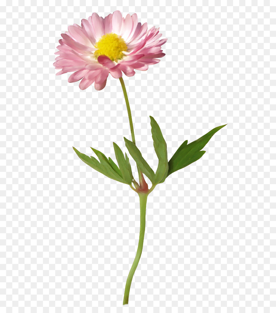 Flor，Formato Gerber PNG