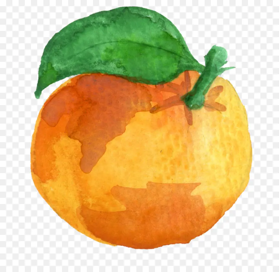 Naranja，Agrios PNG