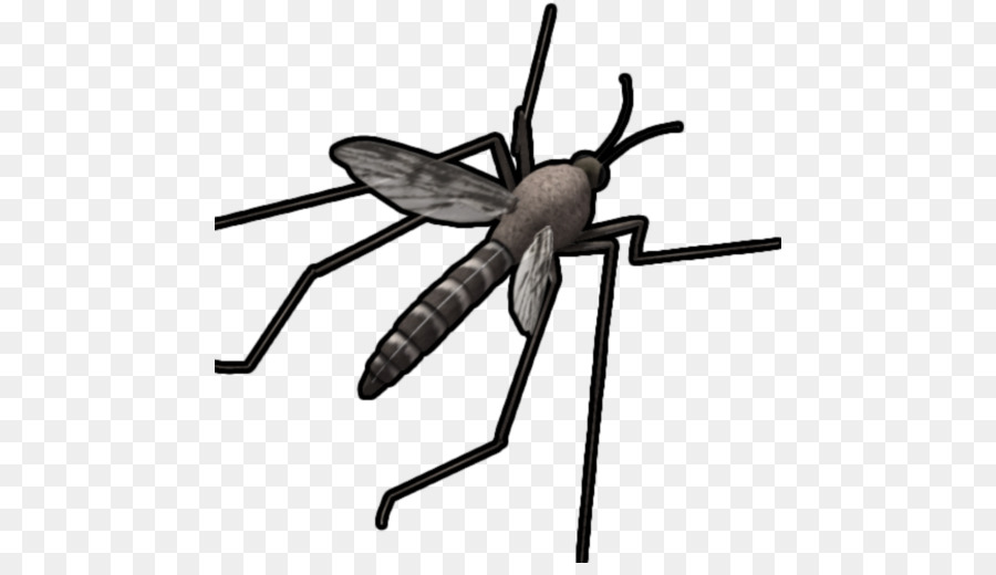 Mosquito，Alas PNG