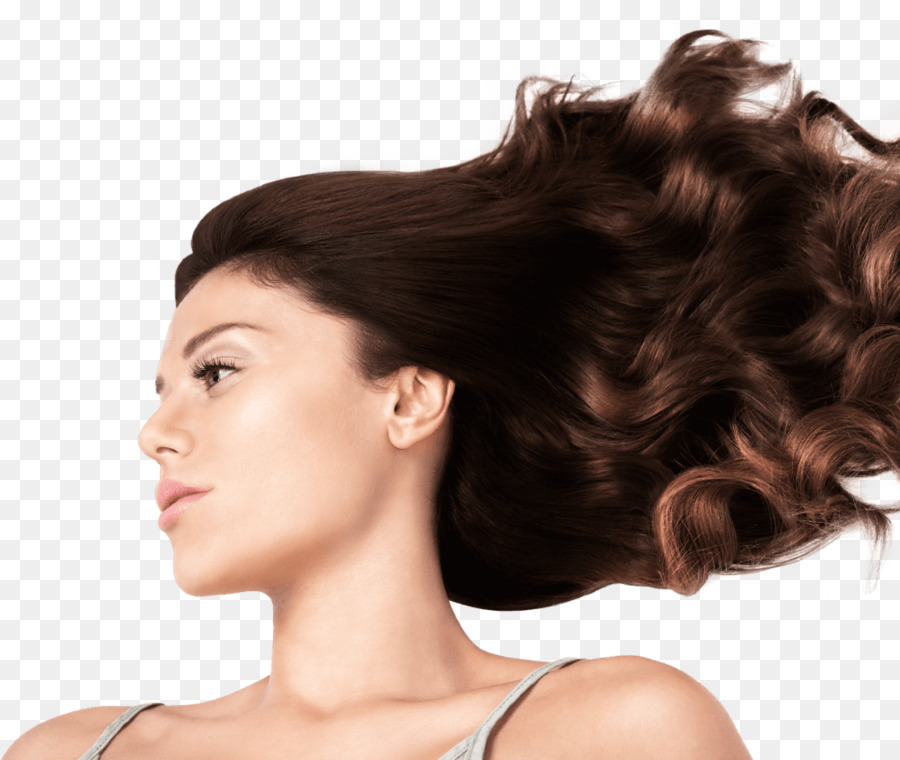 El Pelo Largo，La Coloración Del Cabello PNG