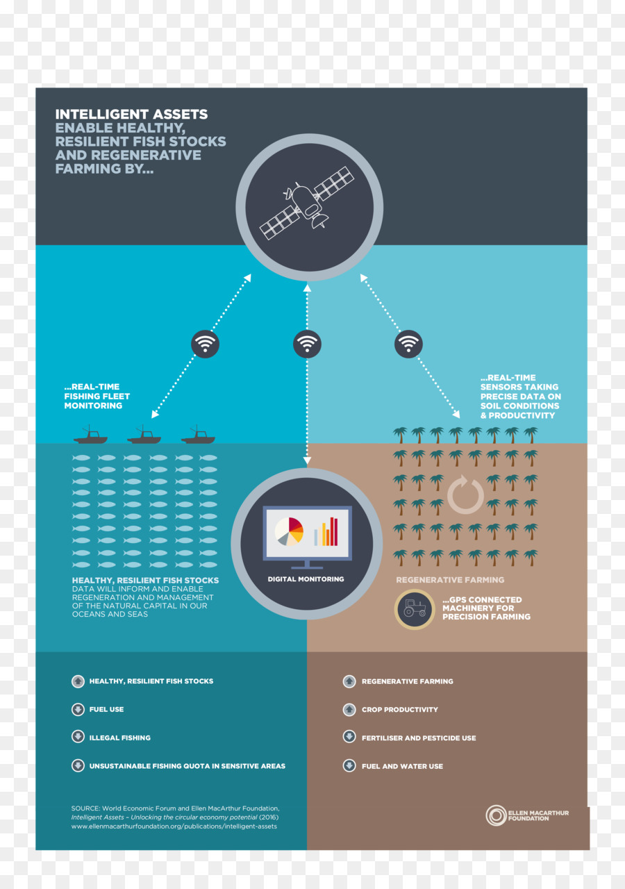 Economía Circular，Ellen Macarthur Foundation PNG