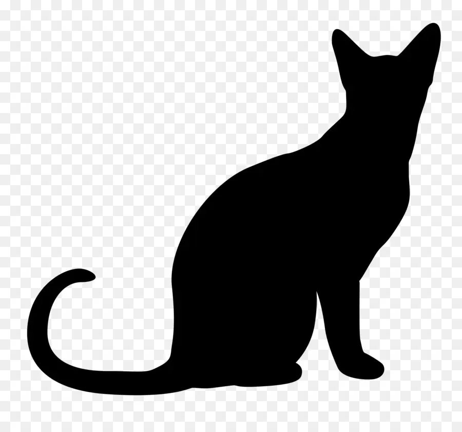 Gato，Gato Negro PNG