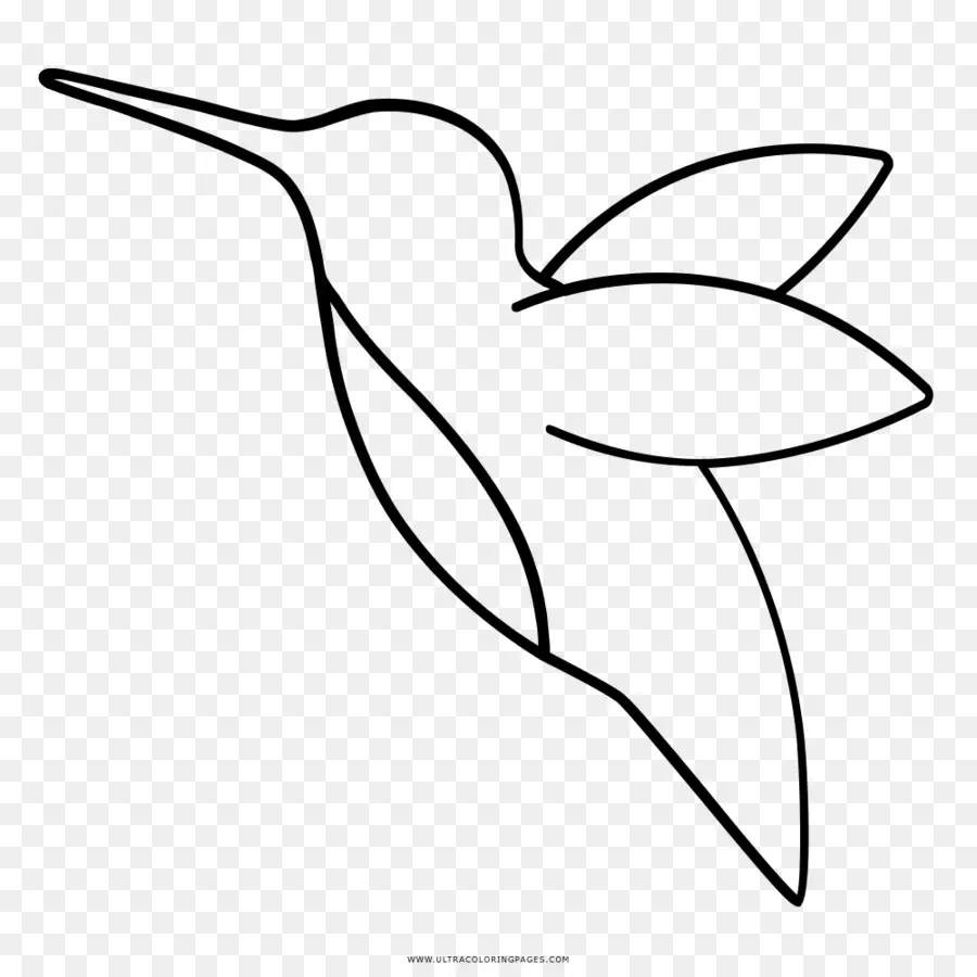 Colibrí，Dibujo PNG